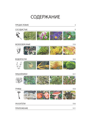 Красная книга Республики Беларусь. Растения. 5-е издание.